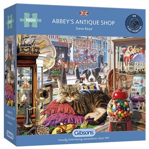 Obrazek Puzzle 1000 Antykwariat G3