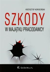 Bild von Szkody w majątku pracodawcy