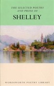 Polnische buch : The Select... - Percy Bysshe Shelley