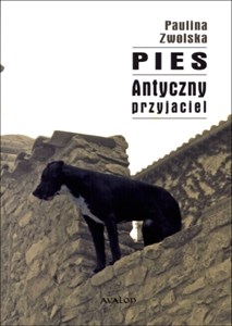 Bild von Pies Antyczny przyjaciel