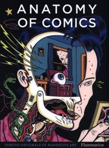 Bild von Anatomy of Comics Famous Originals of Narrative Art.