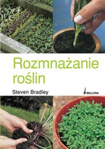 Bild von Rozmnażanie roślin