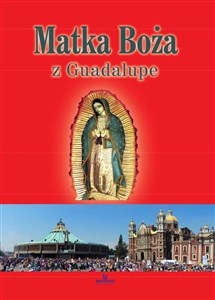 Obrazek Matka Boża z Guadalupe