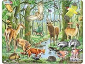 Bild von Las europejski