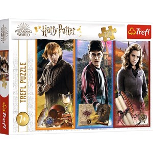 Obrazek Puzzle 200 W świecie magii i czarów Harry Potter 13277