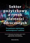 Sektor poż... - Krzysztof Waliszewski, Ewa Cichowicz, Łukasz Gębski, Jakub Kubiczek, Paweł Niedziółka - buch auf polnisch 
