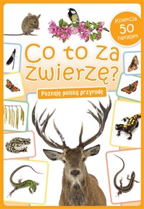 Bild von Co to za zwierzę?