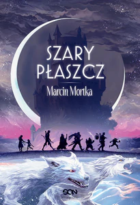 Obrazek Szary płaszcz