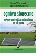 Książka : Ogniwa sło... - Maria Wacławek, Tadeusz Rodziewicz