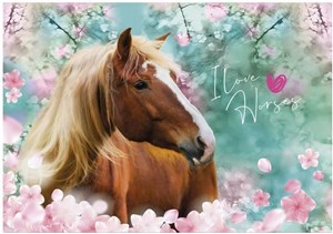 Obrazek Podkład oklejany Konie 19 DERFORM