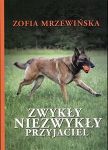 Bild von Zwykły niezwykły przyjaciel