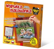 Polnische buch : Wypukła Ma...