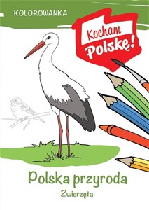 Bild von Kolorowanka Polska przyroda zwierzęta