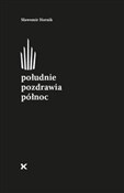 Południe p... - Sławomir Hornik -  Polnische Buchandlung 