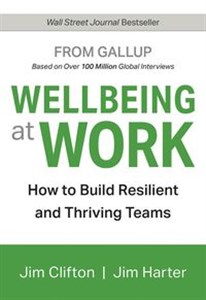 Bild von Wellbeing at Work How to Build Resilient and Thriving Teams