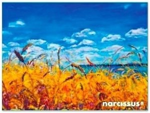 Bild von Teczka kopertowa PP A7 Niebo Vista Narcissus grubość 28 mikronów, zamykane na zatrzask typu napa