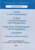 Traktat o ... - Mariusz Muszyński, Stefan Hambura -  fremdsprachige bücher polnisch 