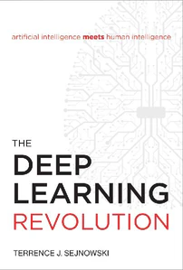 Obrazek SEJNOWSKI, T: DEEP LEARNING REVOLUTION
