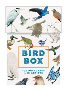 Obrazek BIRD BOX