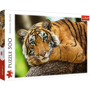 Obrazek Puzzle 500 Portret tygrysa 37397