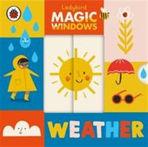 Bild von Magic Windows Weather