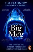 Polnische buch : Big Meg - Tim Flannery, Emma Flannery