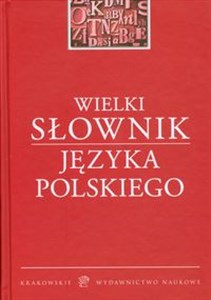 Bild von Wielki słownik języka polskiego