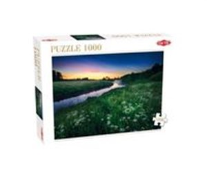 Obrazek Puzzle Summer Night 1000
