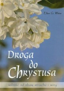 Obrazek Droga do Chrystusa