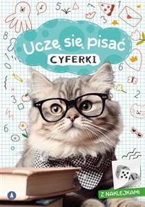 Obrazek Uczę się pisać Cyferki