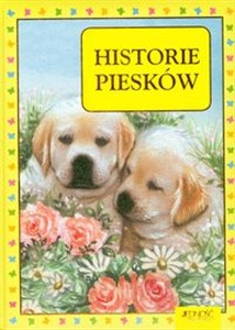 Bild von Historie piesków