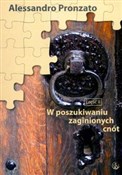 W poszukiw... - Alessandro Pronzato -  polnische Bücher