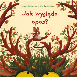 Obrazek Jak wygląda opos?