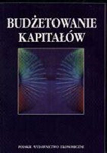 Bild von Budżetowanie kapitałów