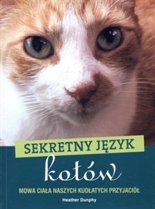 Obrazek Sekretny język kotów