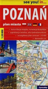 Obrazek Poznań plan miasta 1:20 000