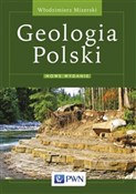 Geologia P... - Włodzimierz Mizerski -  Polnische Buchandlung 