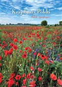 Kalendarz ... -  Książka z wysyłką do Niemiec 