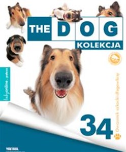 Bild von The Dog Owczarek Szkocki Długowłosy