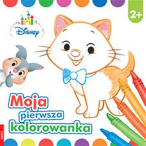 Obrazek Moja pierwsza kolorowanka 2+ DDC-3