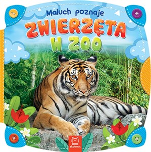Obrazek Maluch poznaje zwierzęta w zoo