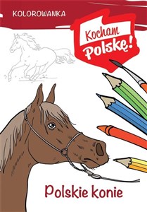 Bild von Kolorowanka Polskie konie