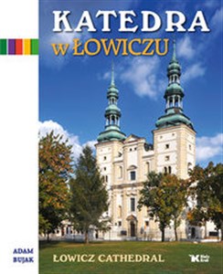 Obrazek Katedra w Łowiczu