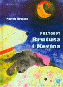 Bild von Przygody Brutusa i Kevina