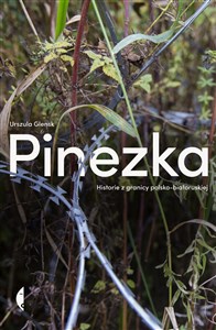 Obrazek Pinezka Historie z granicy polsko-białoruskiej