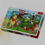 Polnische buch : Winnie the...