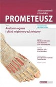 Polska książka : Prometeusz... - Michael Schunke, Erik Schulte, Udo Schumacher