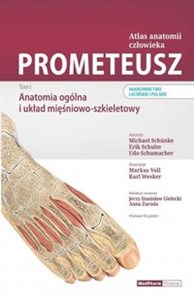 Obrazek Prometeusz Atlas anatomii człowieka Tom 1 Anatomia ogólna i układ mięśniowo-szkieletowy