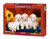 Puzzle Pup... - buch auf polnisch 