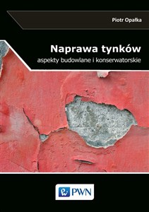 Bild von Naprawa tynków Aspekty budowlane i konserwatorskie